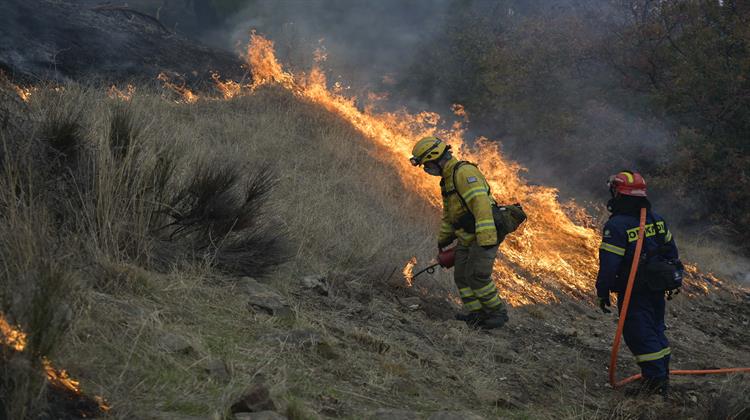 WWF: Η Προδιαγεγραμμένη Καύση Εργαλείο Πρόληψης στις Δασικές Πυρκαγιές